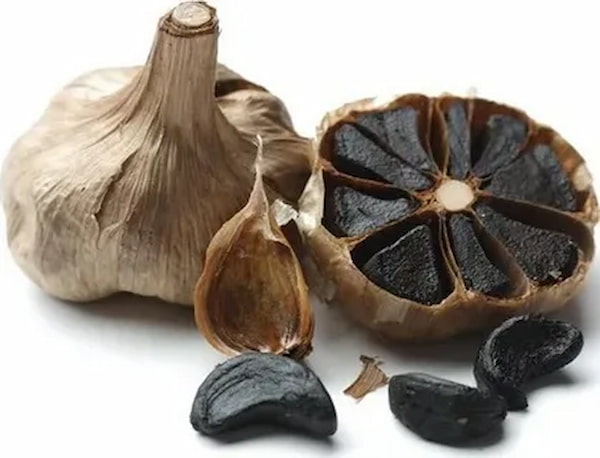 قیمت سیر سیاه همدان